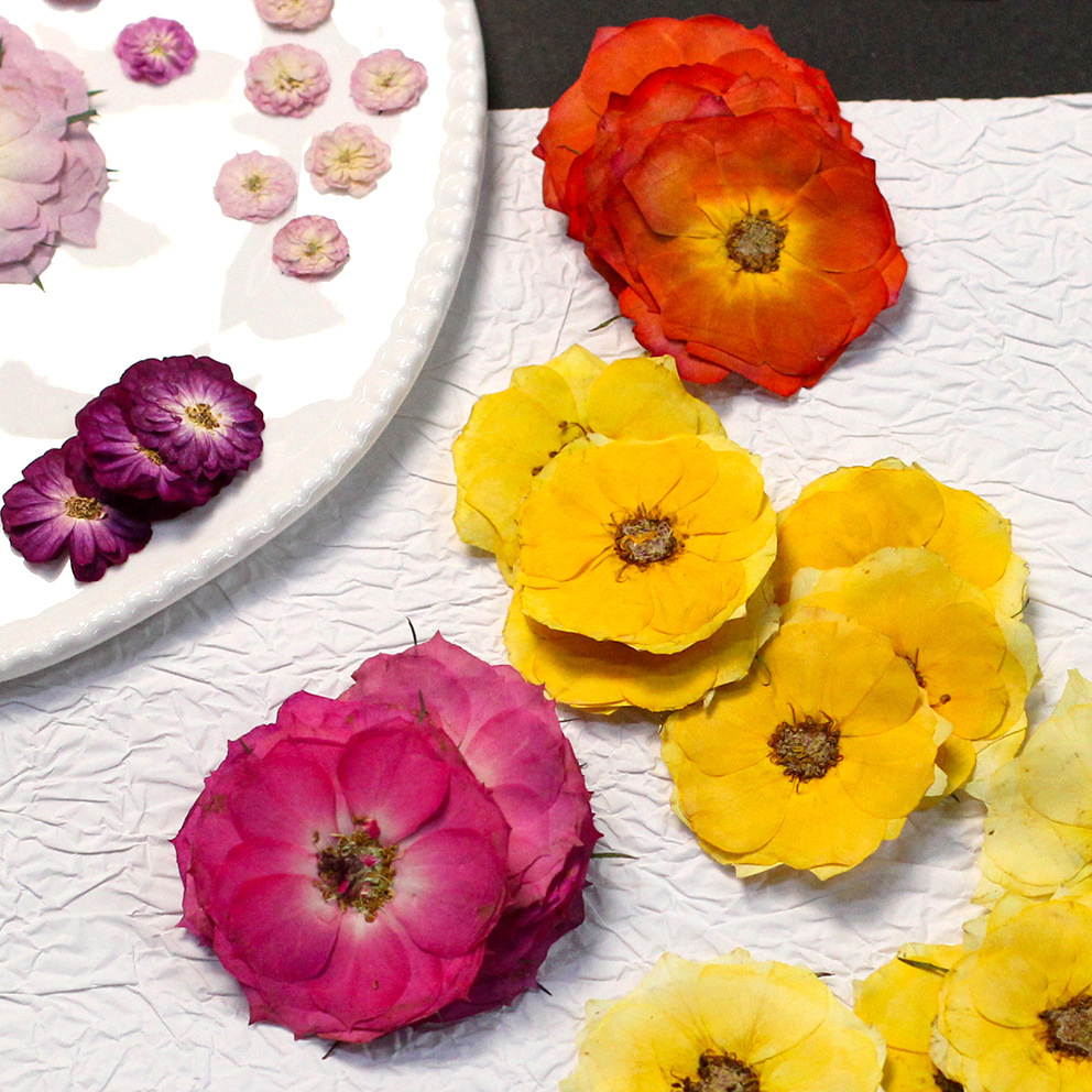 60 Yellow Mixed-size Pressed R - Resin Craft Ideas review and price