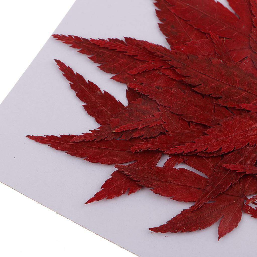 Dried Natural Flowers Crafts R - Resin Craft Ideas review and price