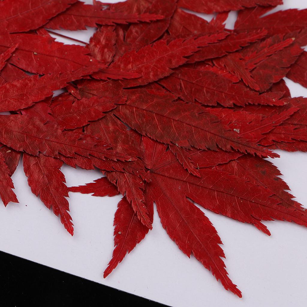 Dried Natural Flowers Crafts R - Resin Craft Ideas review and price